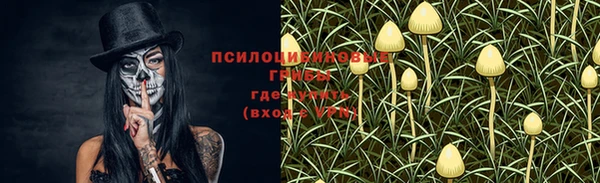 наркотики Алексеевка