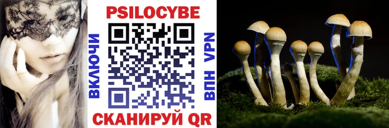 Галлюциногенные грибы Cubensis  Фёдоровский 